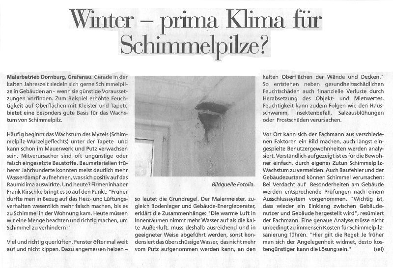Kreiszeitung Schimmelpilze